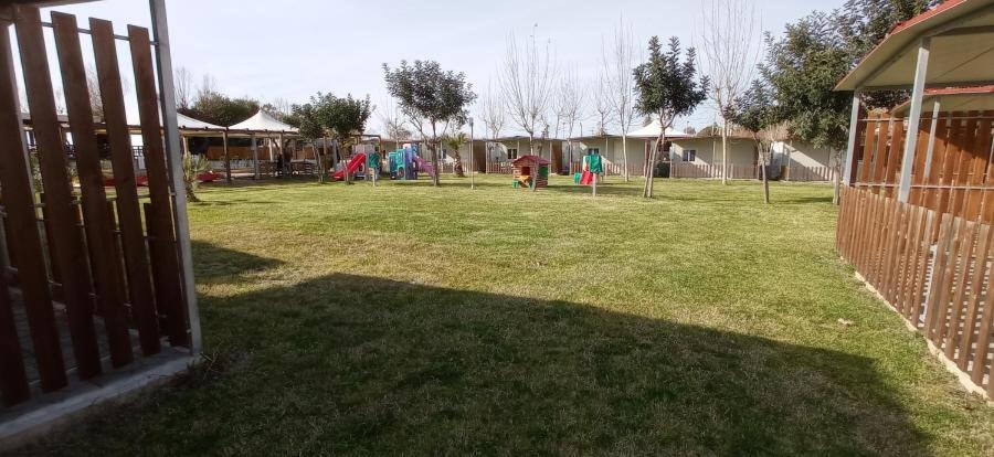 Campsite Tropical Casette Diamante